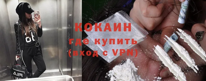 купить   Жуков  COCAIN Fish Scale 